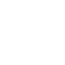 Public Safety Category Icon