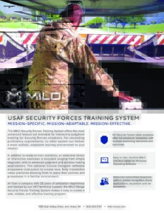 USAF Security Forces