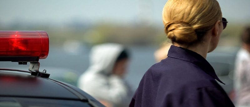 Brochures | MILO Range