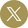 x SOCIAL MEDIA ICON MIL.